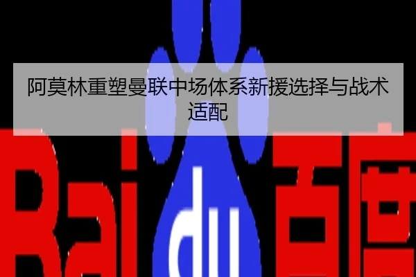 阿莫林重塑曼联中场体系新援选择与战术适配